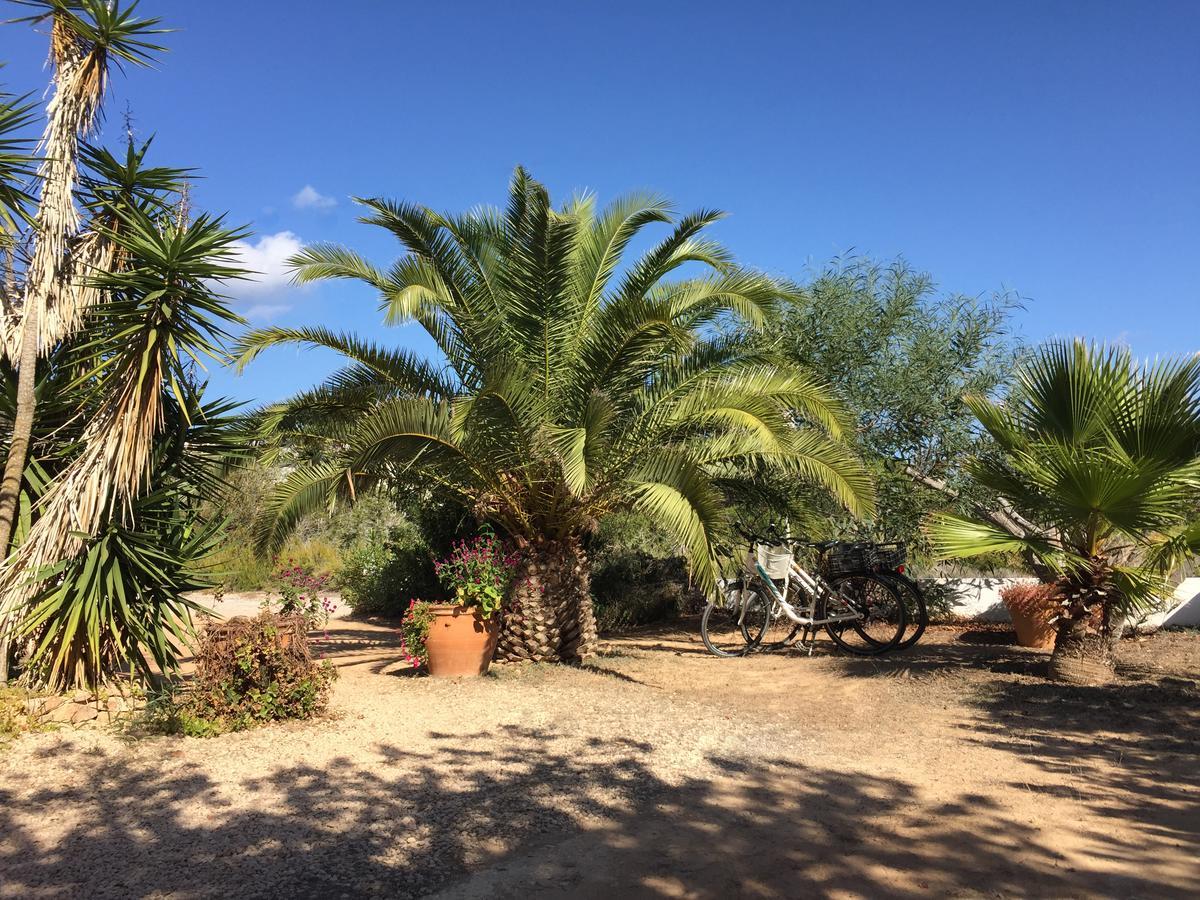 Apartamentos Laura Playa De Migjorn Eksteriør billede