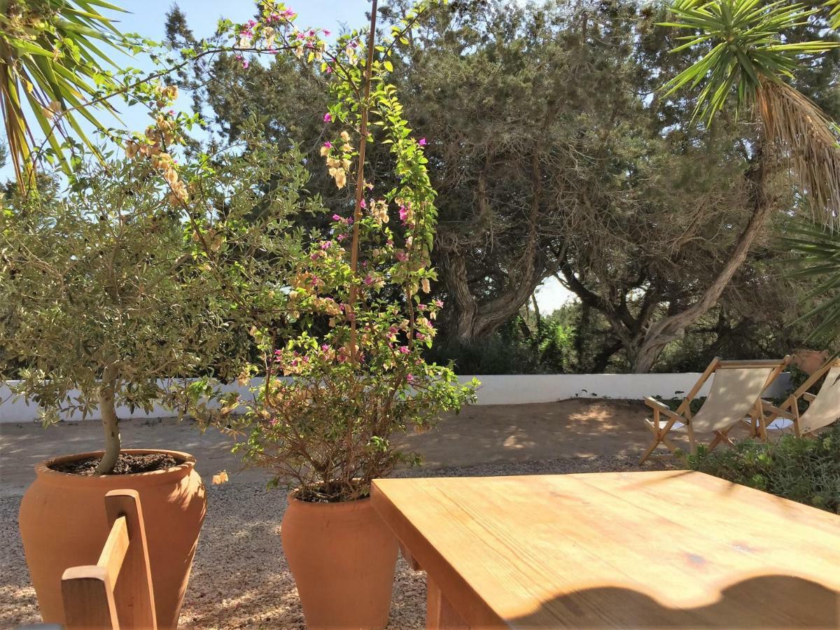 Apartamentos Laura Playa De Migjorn Eksteriør billede